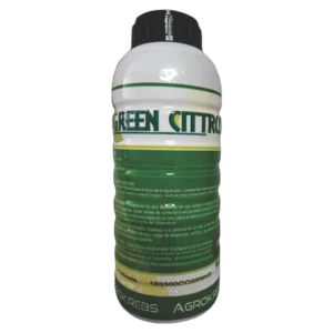 GREEN CITTRUS