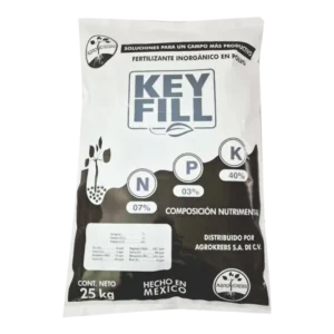 KEY FILL