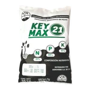 KEY MAX 21