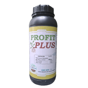 PROFIT PLUS