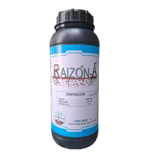 RAIZÓN-A